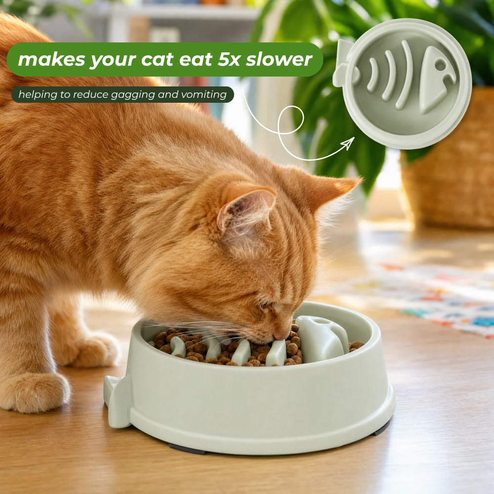 Purrsley SlowBowl
