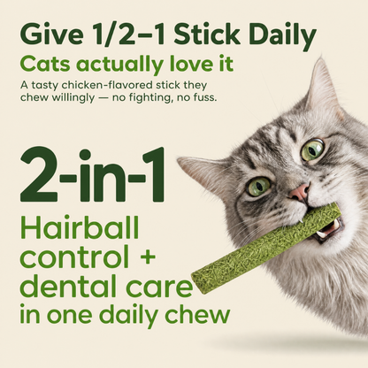 Purrsley Cat Grass Sticks