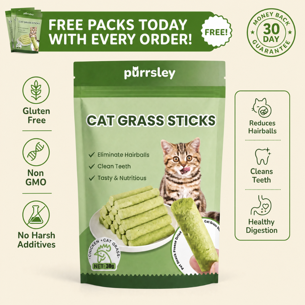 Purrsley Cat Grass Sticks