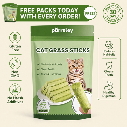 Purrsley Cat Grass Sticks