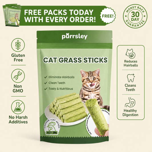 Purrsley Cat Grass Sticks