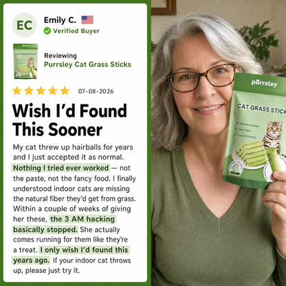 Purrsley Cat Grass Sticks