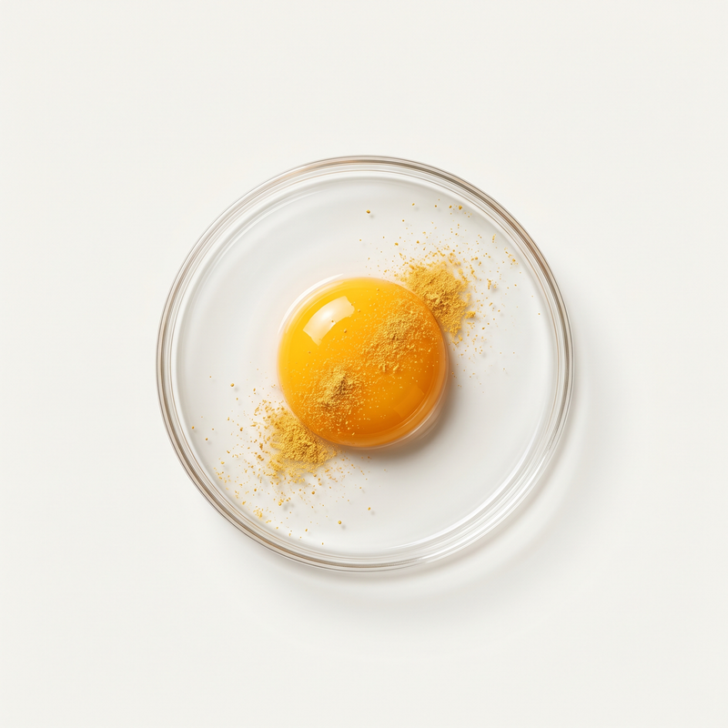 Egg Yolk